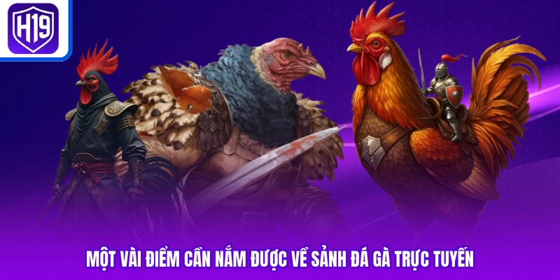 Một vài điểm cần nắm được về sảnh đá gà trực tuyến